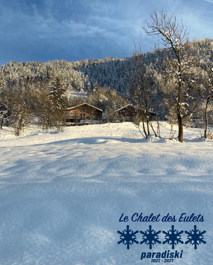 Le Chalet Des Eulets Bourg-Saint-Maurice Kültér fotó