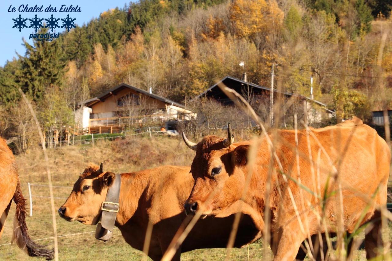 Le Chalet Des Eulets Bourg-Saint-Maurice Kültér fotó