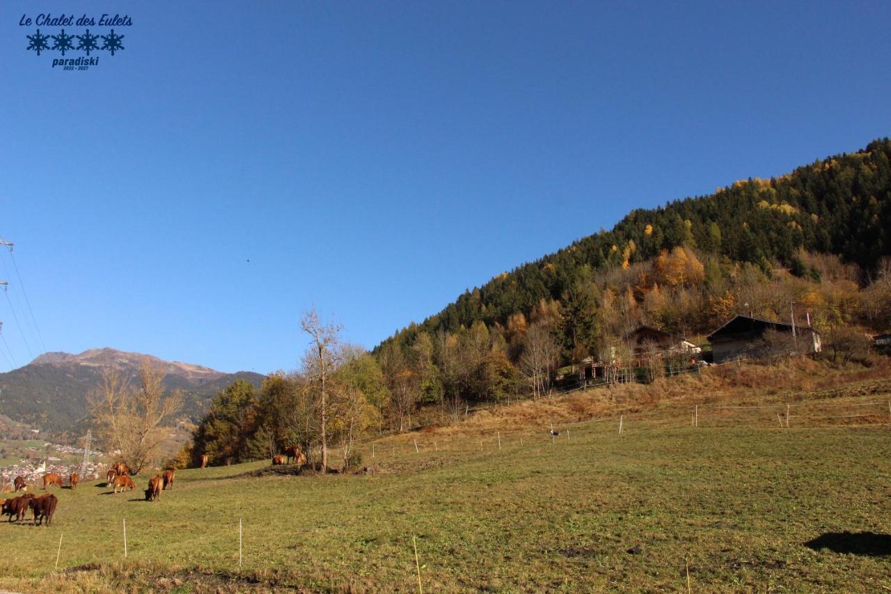 Le Chalet Des Eulets Bourg-Saint-Maurice Kültér fotó