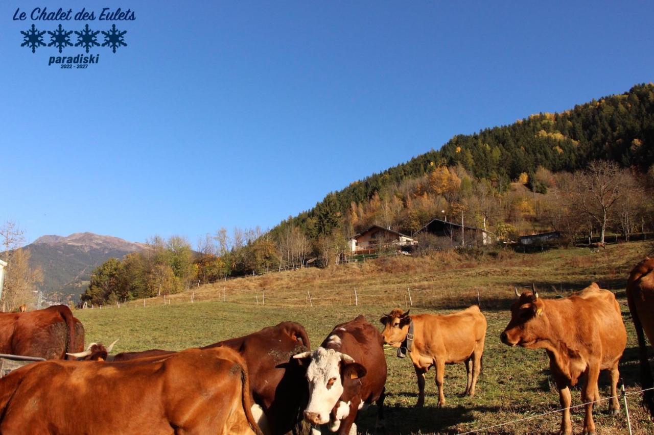 Le Chalet Des Eulets Bourg-Saint-Maurice Kültér fotó