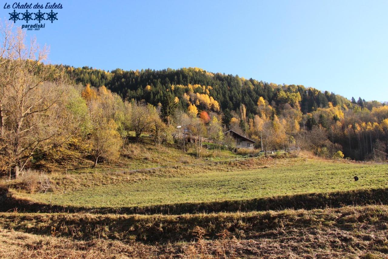 Le Chalet Des Eulets Bourg-Saint-Maurice Kültér fotó
