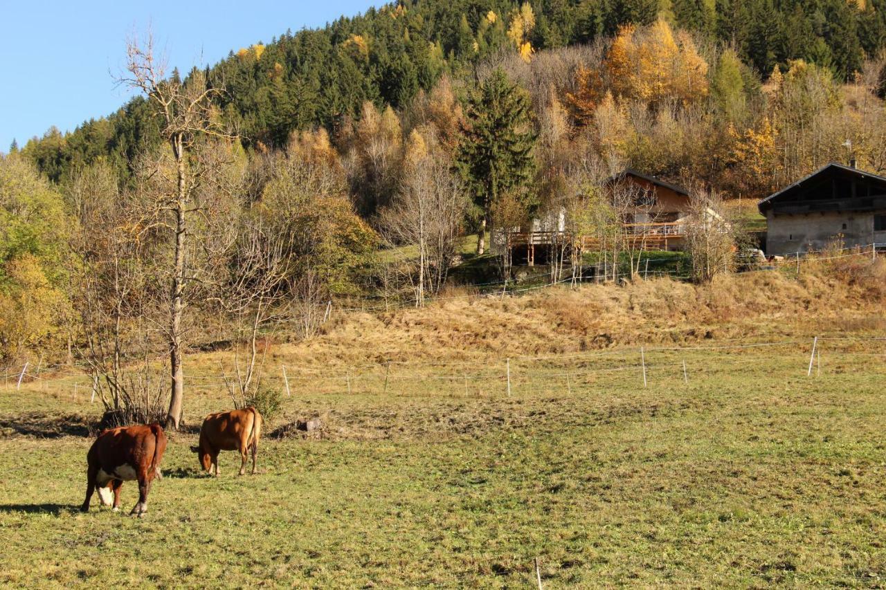 Le Chalet Des Eulets Bourg-Saint-Maurice Kültér fotó